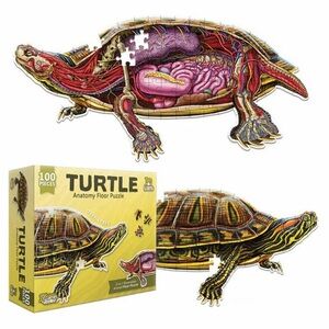 Turtle Anatomy Floor Puzzle - Multicolor